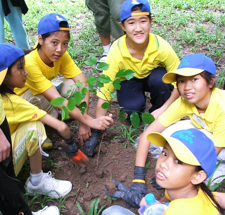 Ploy in Camp Planting